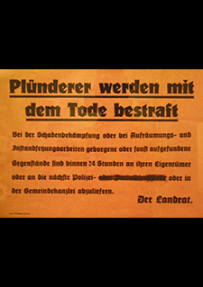 1tes Bild zum Dokument